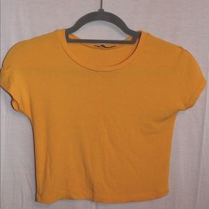 Zara Crop Top